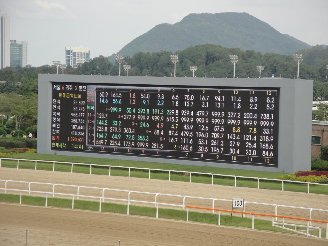 seoul-racecourse-odds-board