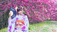 端庄贤惠的日本女人(10)